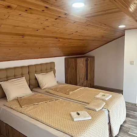 Center 7 بلوفديف